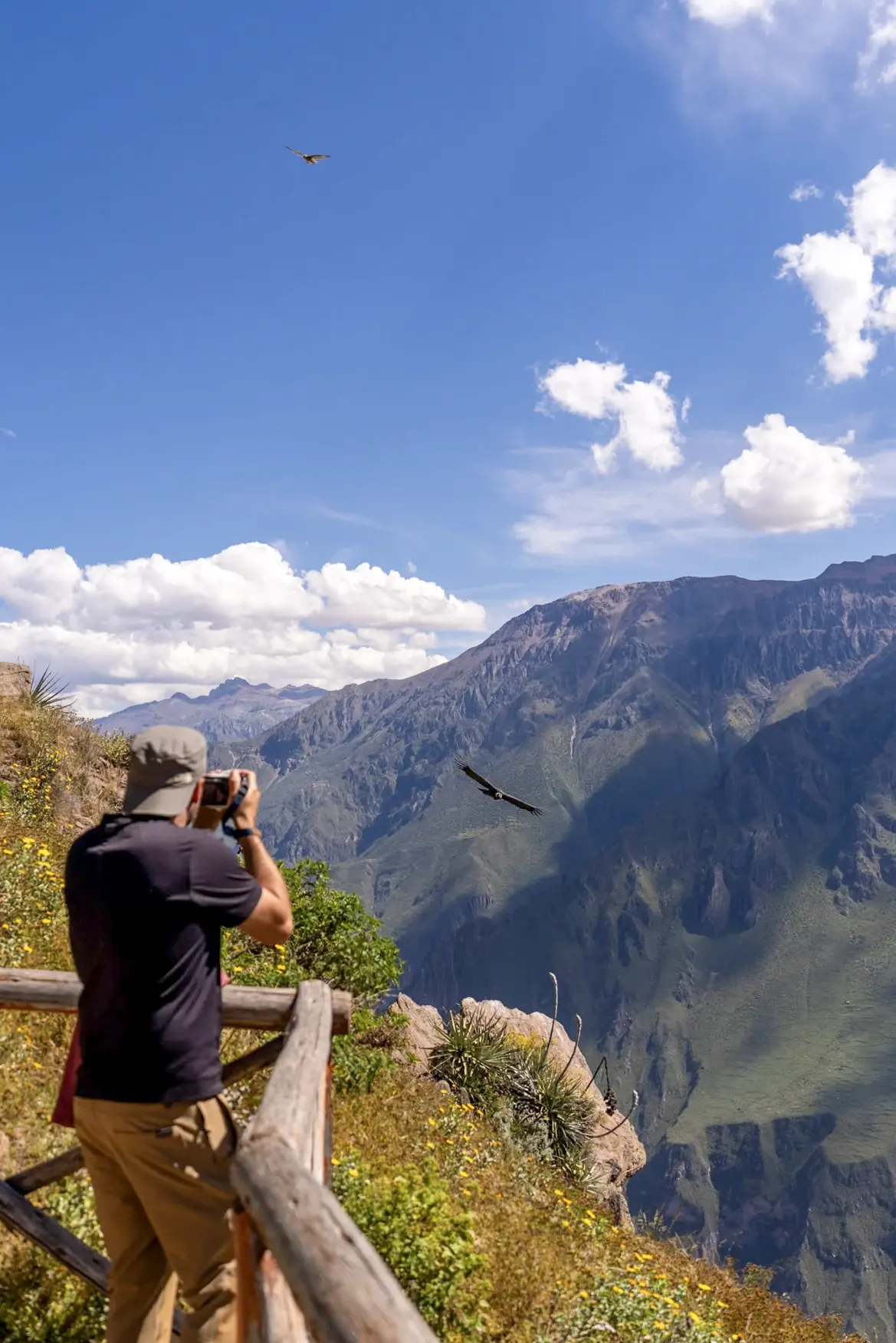 A visitor photographing the canyon from a viewpoint