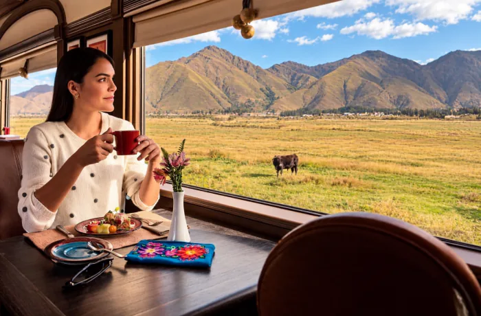 Illustrative editorial scene of a traveller enjoying a cup beside a train window
