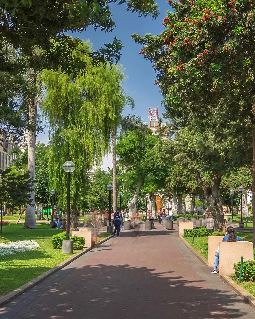 Tree-lined paths and gardens in central Miraflores